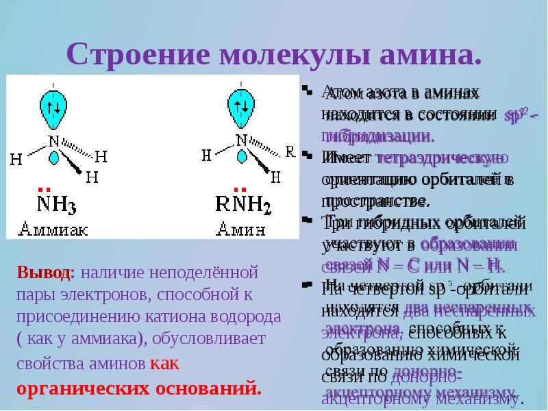 Особенности строения молекулы. Строение азота в алифатических аминах. Строение аминогруппы. Строение молекулы Амина. Электронное строение аммиака и Аминов.