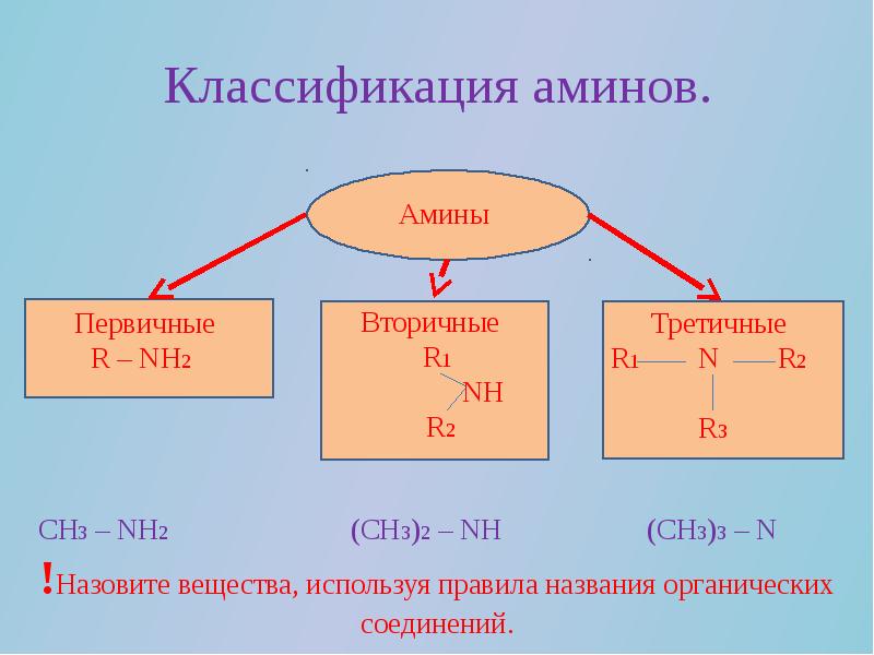 Заполните схему приведите примеры для каждой группы аминов классификация аминов