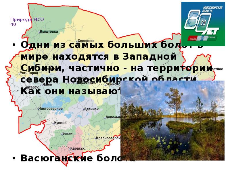 В какой природной зоне расположена новосибирская область. Васюганские болота на карте Западной Сибири. Болото в Новосибирской области. Васюганский заповедник на карте. Природные зоны Новосибирской области.