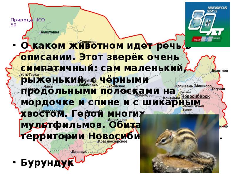 О каком животном идет речь. 85 Лет Новосибирской области презентация. Стихи к юбилею Новосибирской области. О каком животном идет речь в описании.