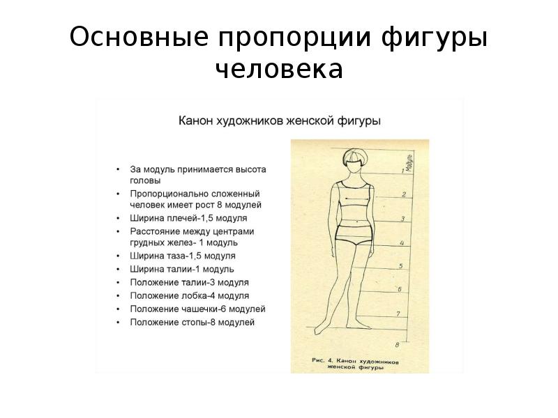 Почему мы видим фигуры человека. Основные пропорции фигуры человека. Пропорции человека в сидячем положении. Пропорции фигуры и прически. Основные пропорции ходьбы человека.