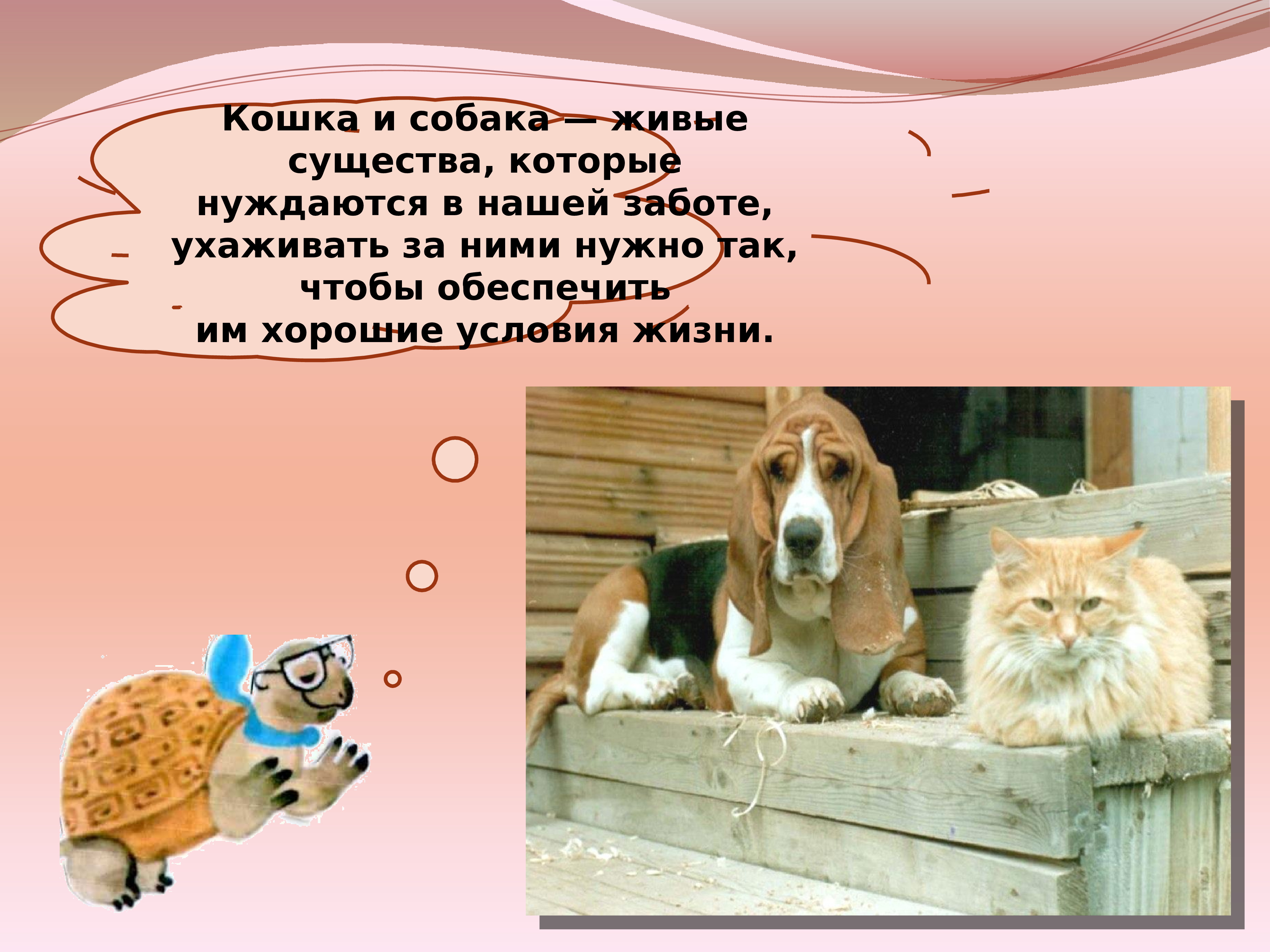 Презентация на тему собаки и кошки
