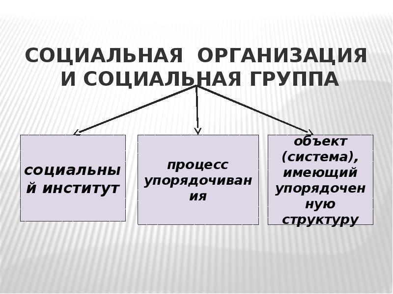 Социальное предприятие презентация