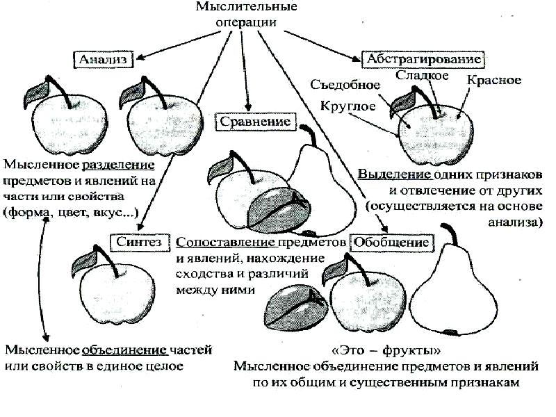 Анализ и синтез схема