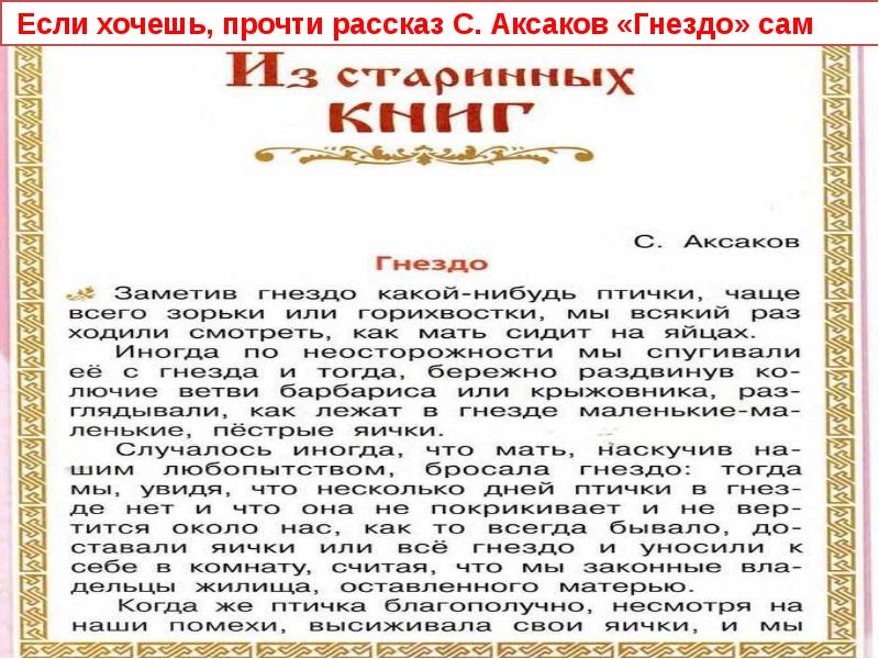 С аксаков гнездо 1 класс презентация