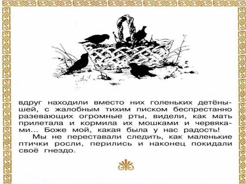 Д хармс храбрый еж н сладков лисица и еж с аксаков гнездо презентация 1 класс