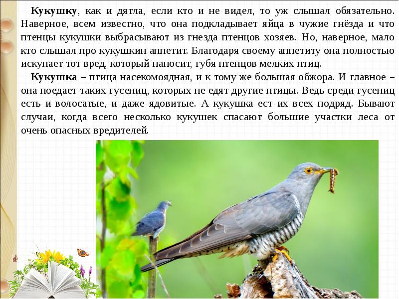 Д хармс храбрый еж н сладков лисица и еж с аксаков гнездо презентация 1 класс