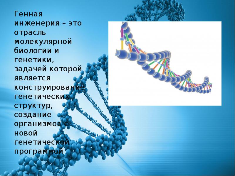 Что такое генная инженерия. Генная инженерия. Генетика и генная инженерия. Молекулярная генетика и генная инженерия. Презентация на тему генная инженерия.