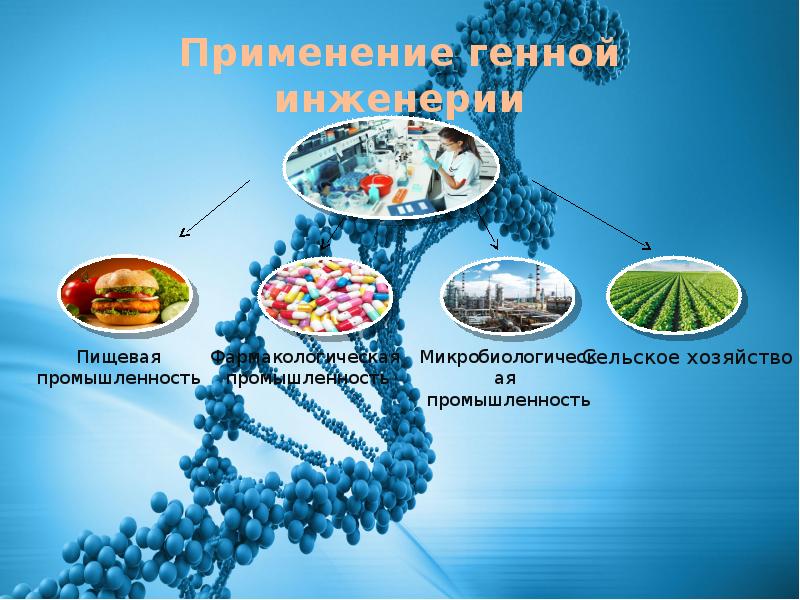 Достижения генной инженерии и биотехнологии презентация