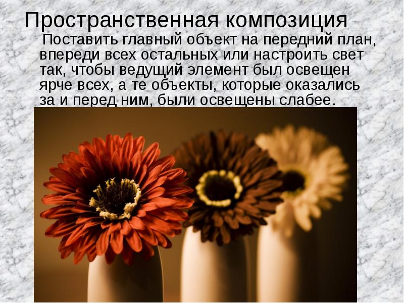 Искусство фотографии презентация 8 класс