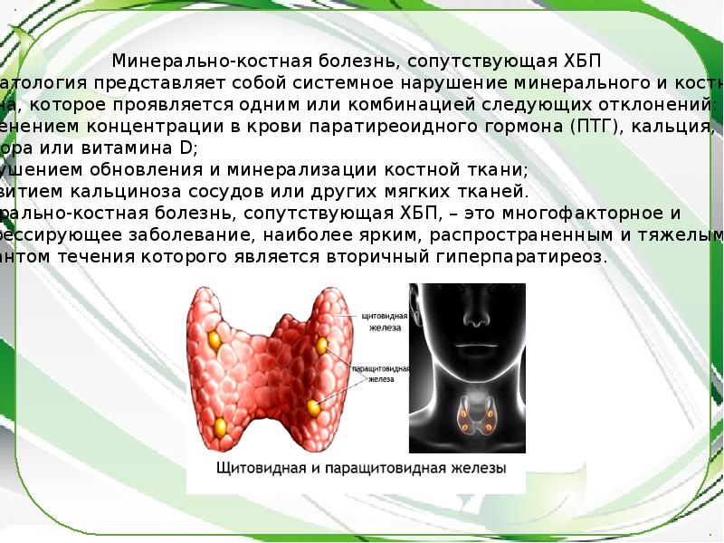 Заболевания паращитовидных желез презентация