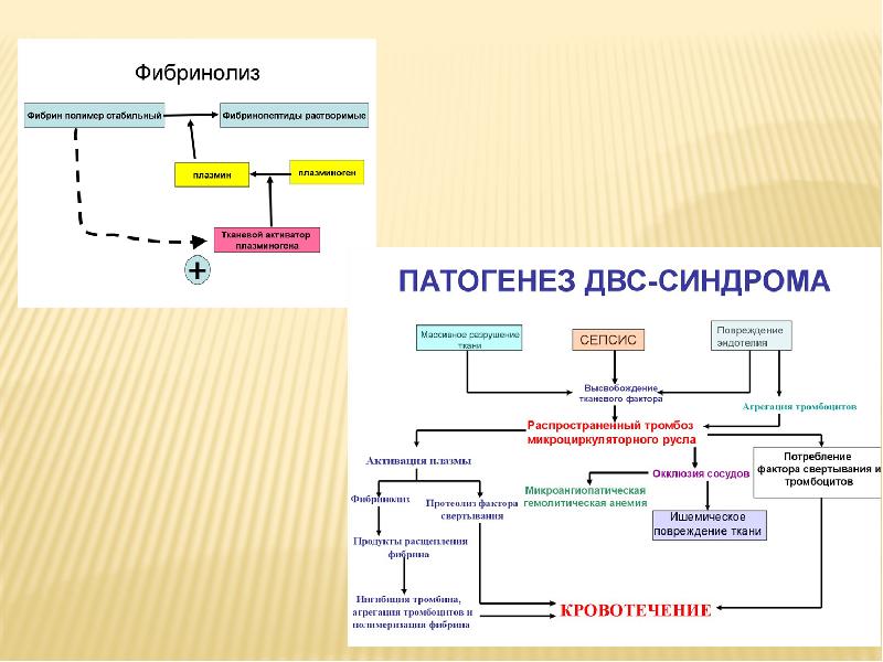 Биохимия печени презентация