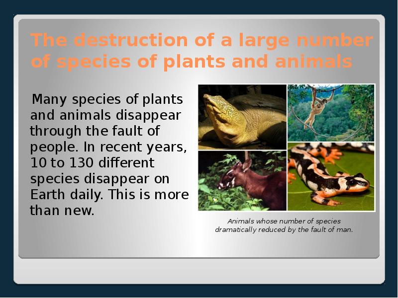 The destruction of a large number of species of plants and