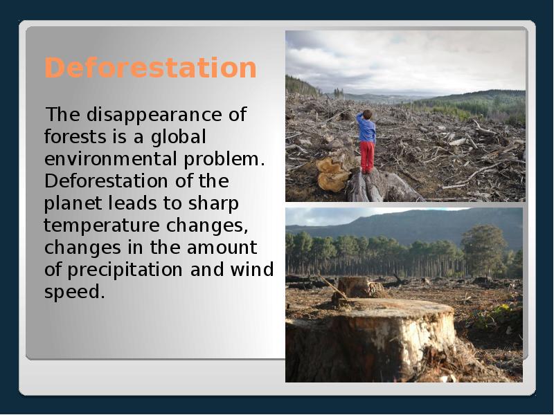 Deforestation   The disappearance of forests is a global environmental