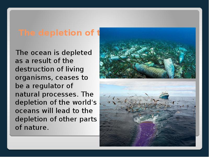 The depletion of the world's oceans   The ocean is