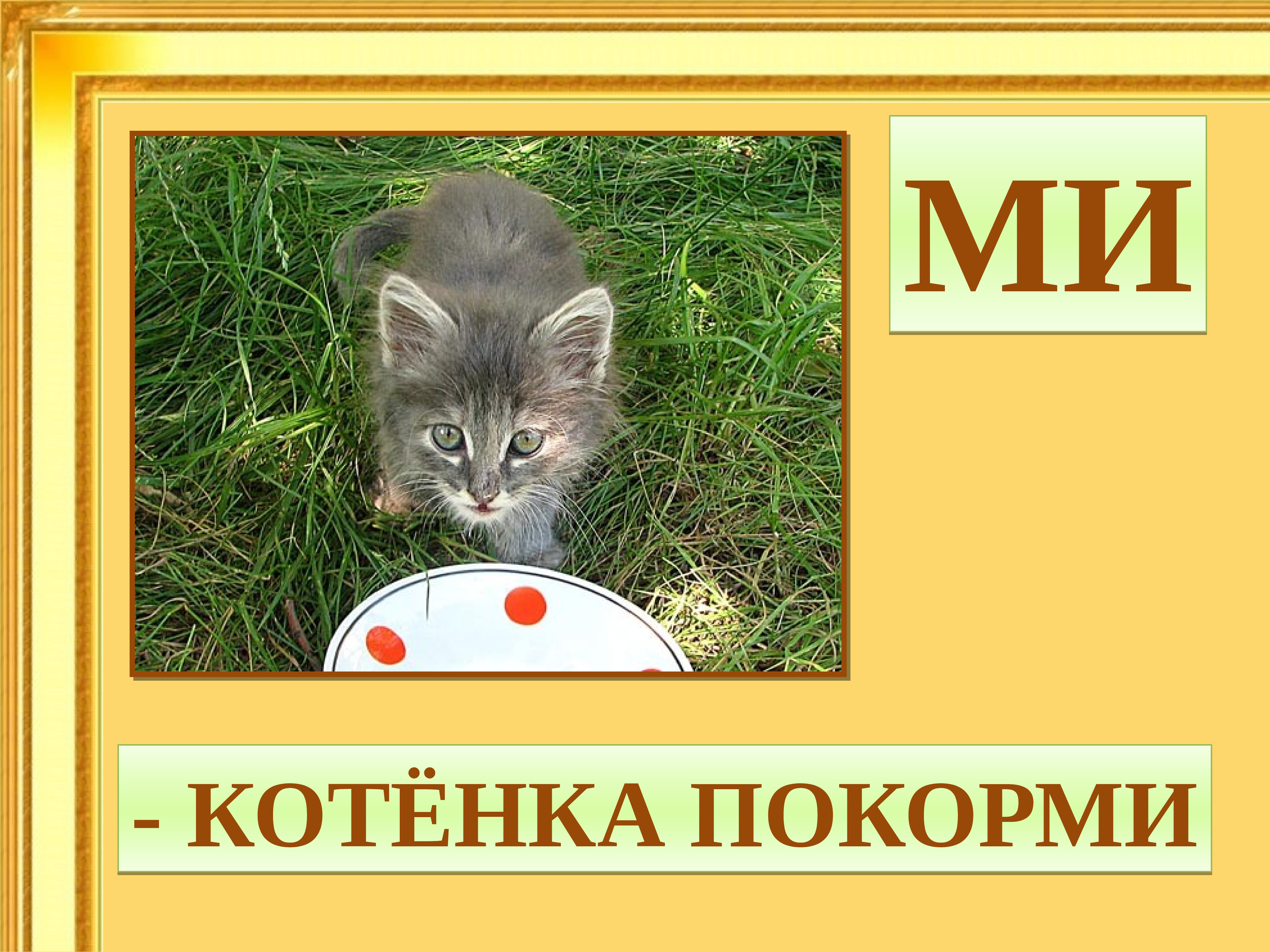 Пришел Покормить Кота Порно