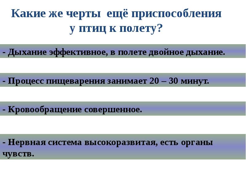 Дыхательная система птиц приспособление к полету.