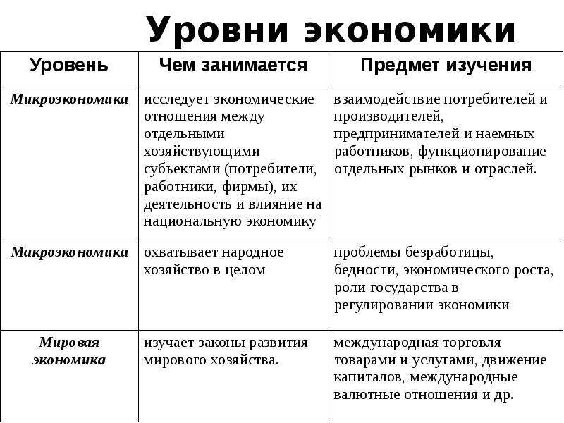 Презентация уровни экономики