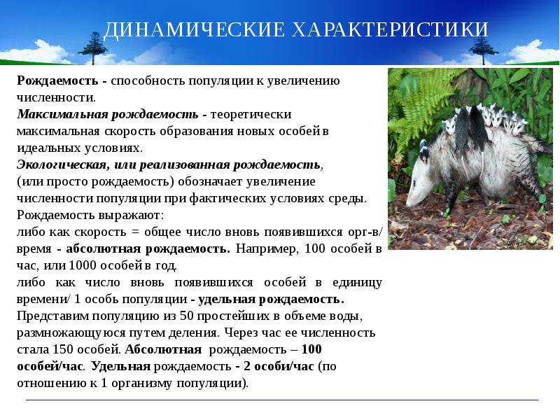 Популяционно видовой уровень организации жизни презентация