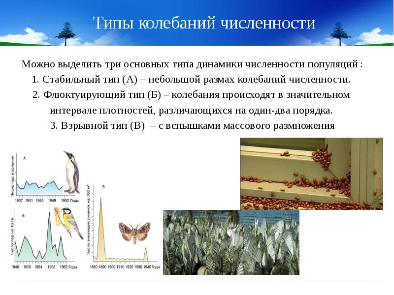 Какой метод для определения численности популяции показан на рисунке