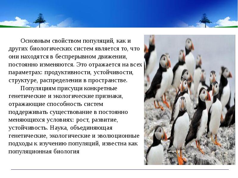 Популяционно видовой уровень вариант 2. Популяционно видовой уровень вариант 2