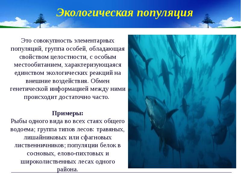 Популяционно видовой уровень общая характеристика виды и популяции 11 класс презентация