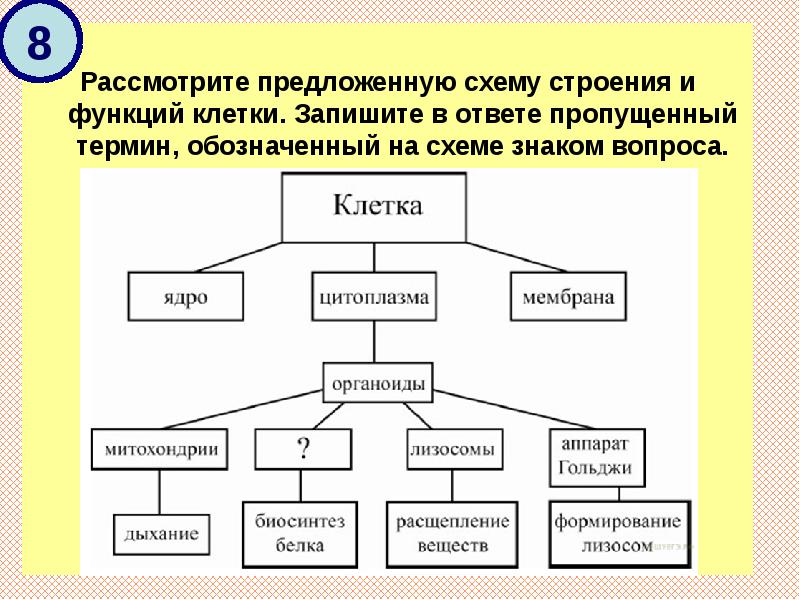 Составьте схему строения. Схема классификации компонентов клетки. Схемы по биологии. Рассмотрите предложенную схему. Схема понятий по биологии.