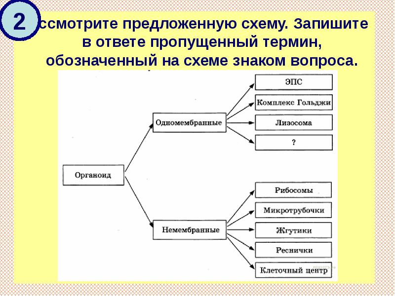 Выберите из предложенных понятий. Рассмотрите предложенную схему. Пропущенный термин, обозначенный на схеме знаком вопроса. Ответ:. Схема терминов. Рассмотрите предложенную схему классификации.