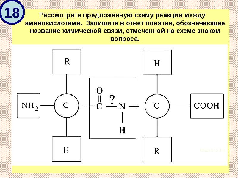 Рассмотрите предложенную схему. Схема реакции между аминокислотами. Рассмотрите предложенную схему реакции между аминокислотами. Обозначение связей в химии.