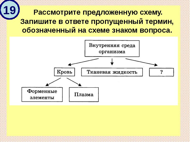 Запишите в ответе пропущенный термин обозначенный на схеме вопросительным знаком