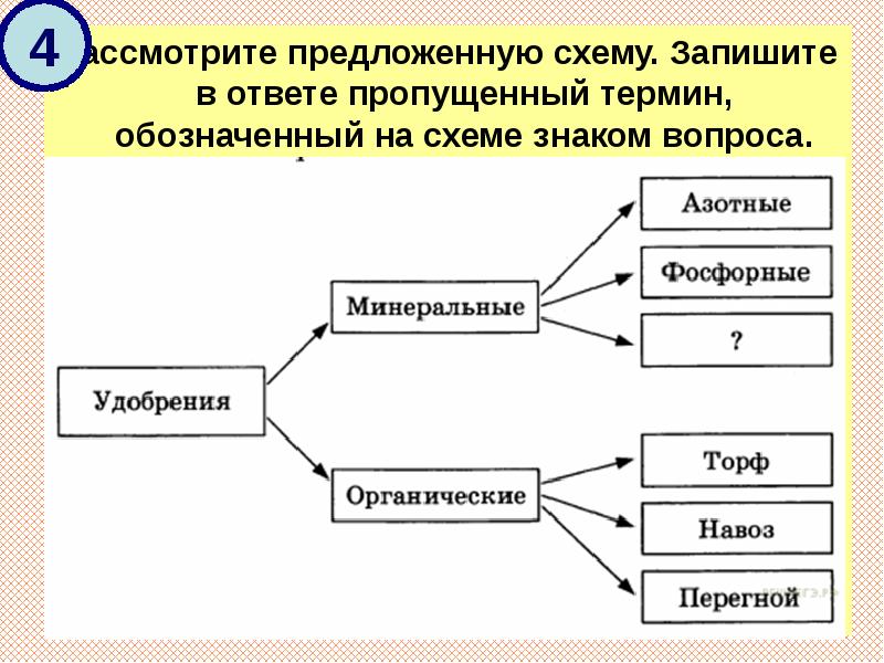 Рассмотрите предложенную схему. Запишите в ответе пропущенный термин, обозначенный на схеме Рассмотрите предложенную схему. Запишите в ответе пропущенный термин, обозначенный на схеме