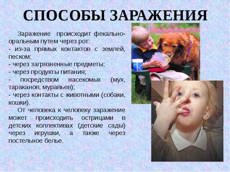 Заразиться Через Оральный Секс