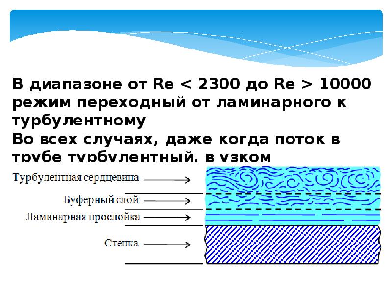 Гидродинамика живых систем проект