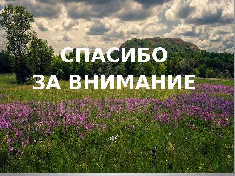 Честная авторассрочка чери