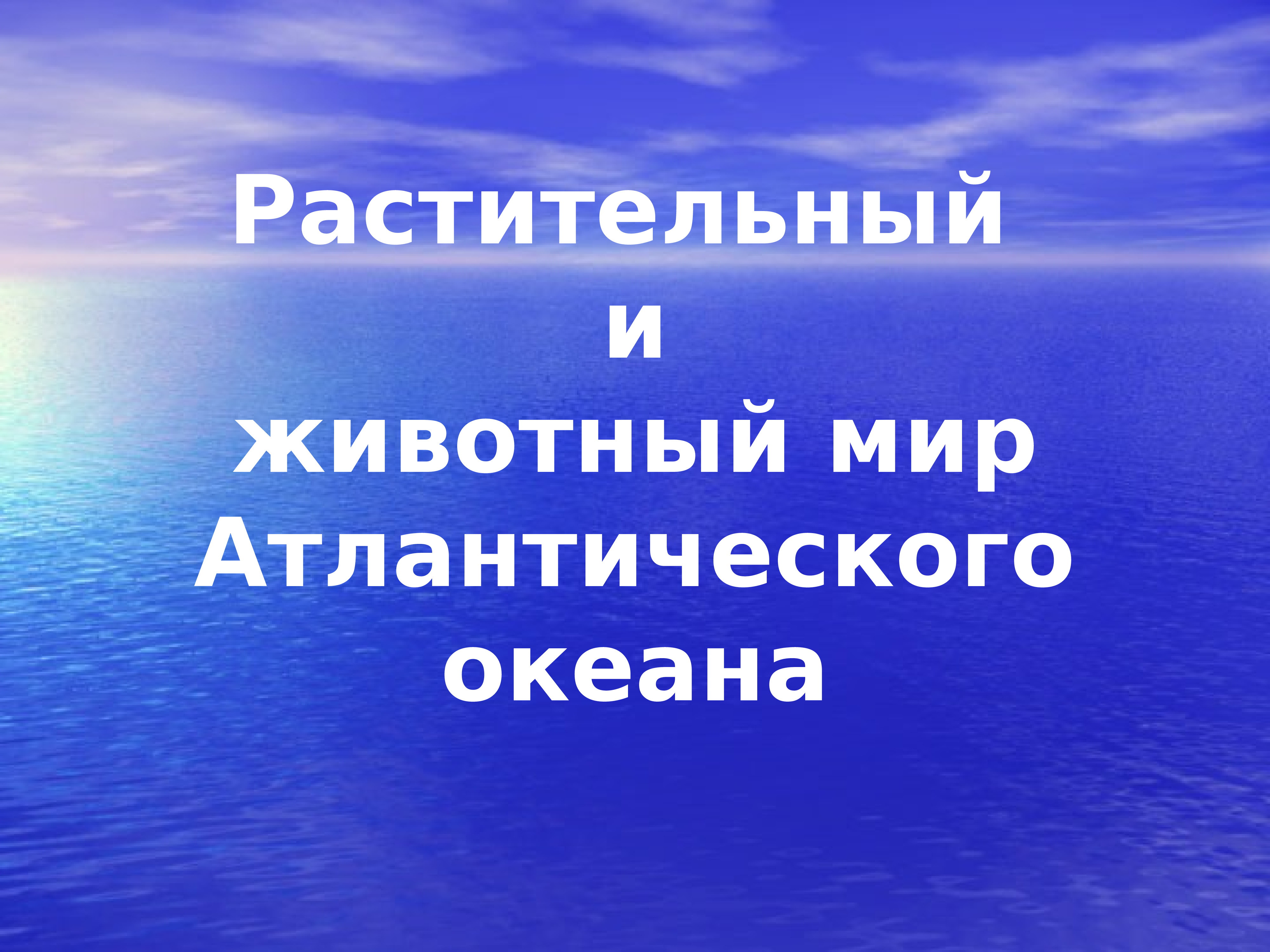 Проект на тему атлантический океан