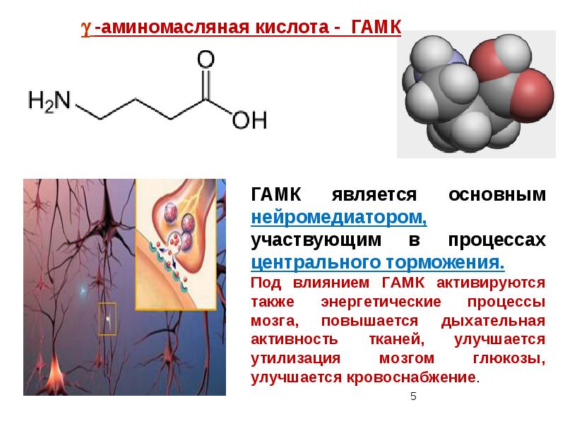 Презентация на тему лекция 6