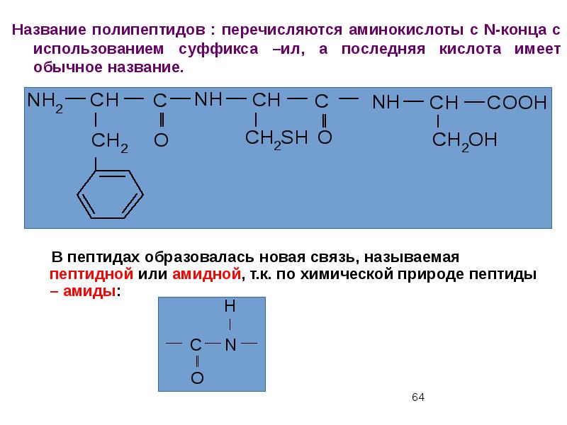 Полипептид состоит