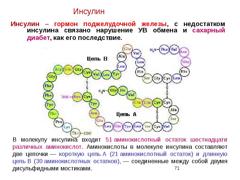 Презентация гормон поджелудочной железы инсулин