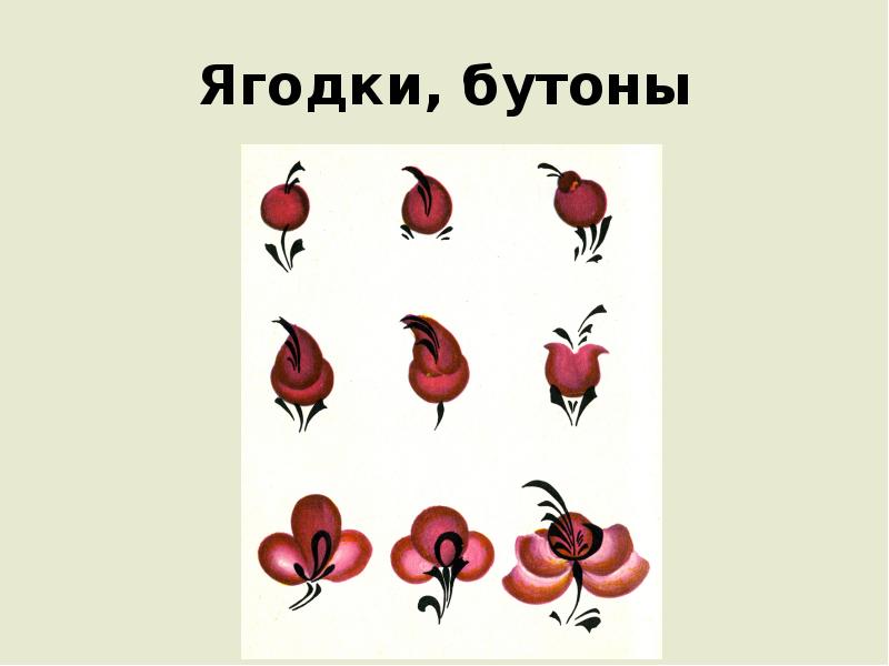 Ягодки, бутоны Ягодки, бутоны