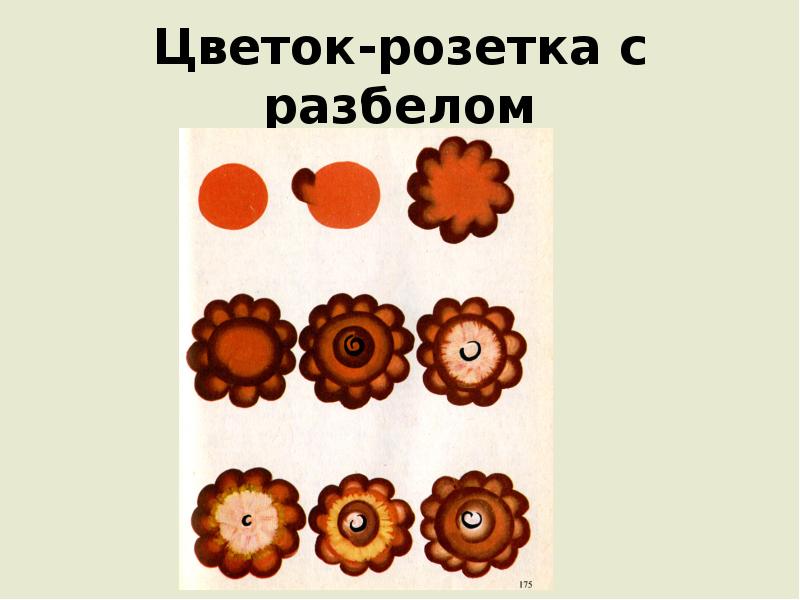 Цветок-розетка с разбелом Цветок-розетка с разбелом