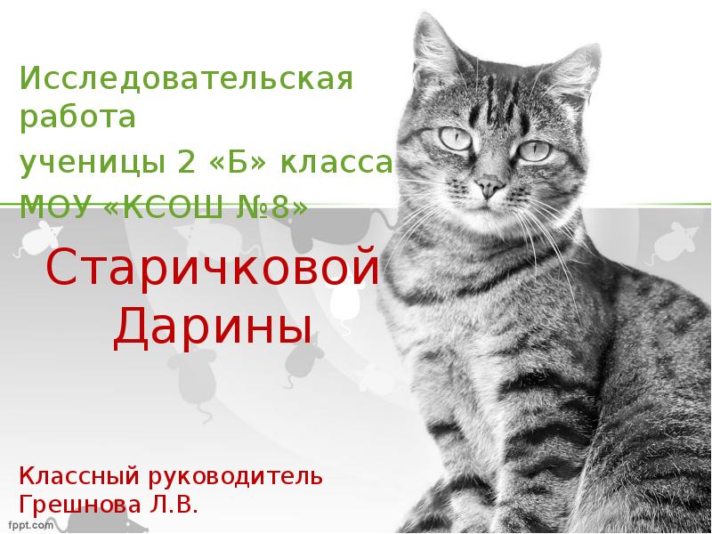 Презентация исследовательская работа 2 класс готовые работы