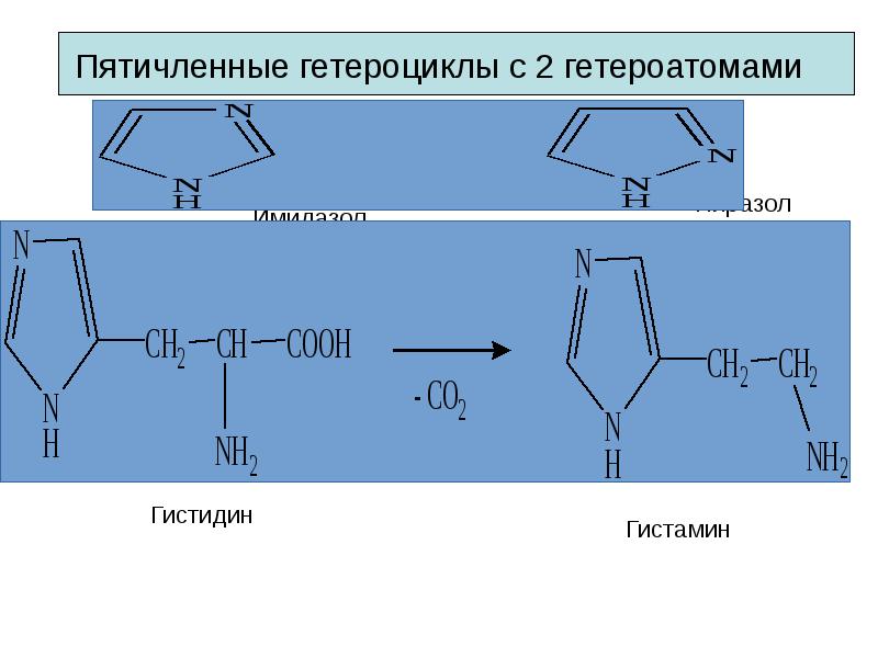 Пятичленные гетероциклы. Ароматические гетероциклы. Биологически важные гетероциклические соединения. Пятичленные гетероциклические соединения.