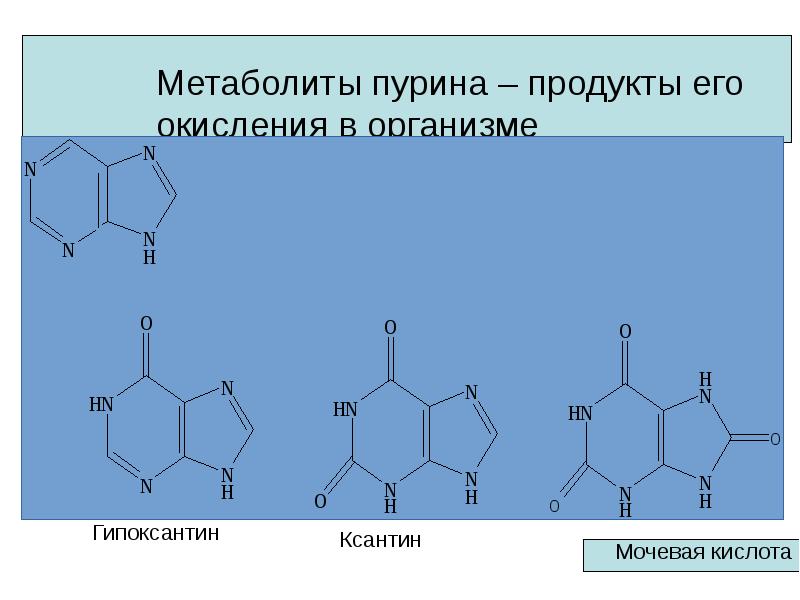 Реклама пурины