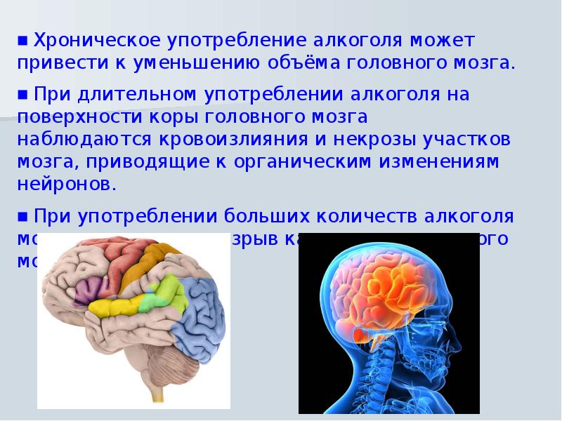 Пагубное влияние алкоголя на организм человека презентация