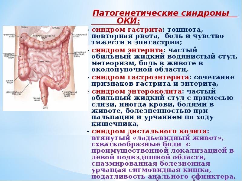 Шигеллез эпидемиология презентация