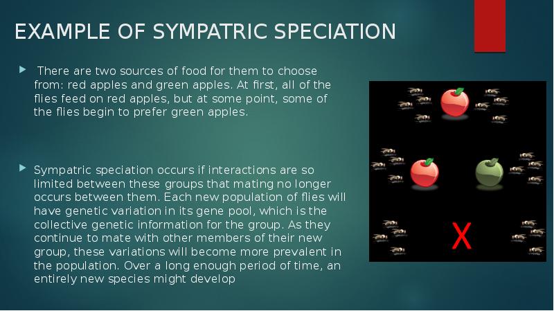 EXAMPLE OF SYMPATRIC SPECIATION
There are two sources of food EXAMPLE OF SYMPATRIC SPECIATION
There are two sources of food