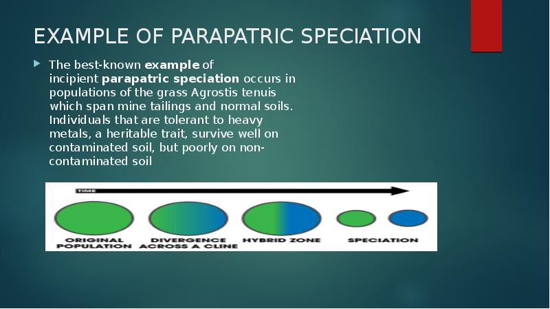 EXAMPLE OF PARAPATRIC SPECIATION
The best-known example of incipient parapatric speciation occurs in populations of EXAMPLE OF PARAPATRIC SPECIATION
The best-known example of incipient parapatric speciation occurs in populations of