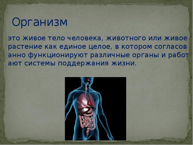 Человек человека конспект урока. Человек живой организм. Организм это живое тело человека. Человек для презентации. Тела живых организмов в теле человека.