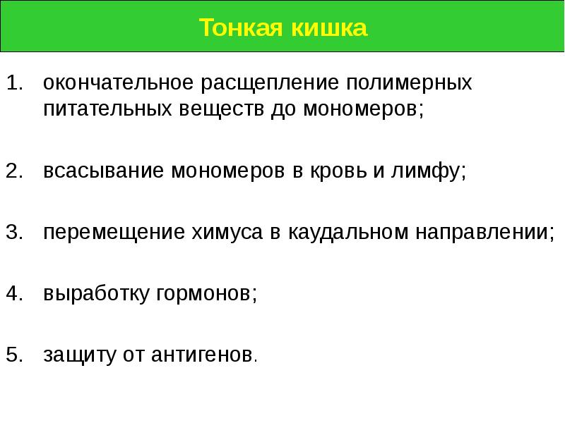 Тонкое расщепление. Окончательное расщепление. Тонкие подсистемы. Тонкая система.