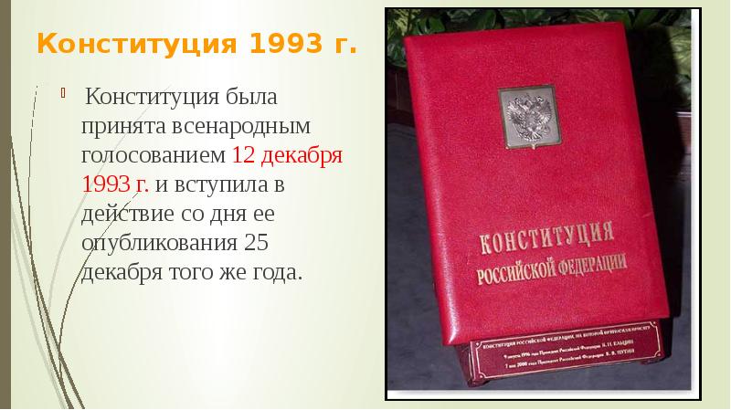 Проект конституции 1993 г был принят всенародным референдумом